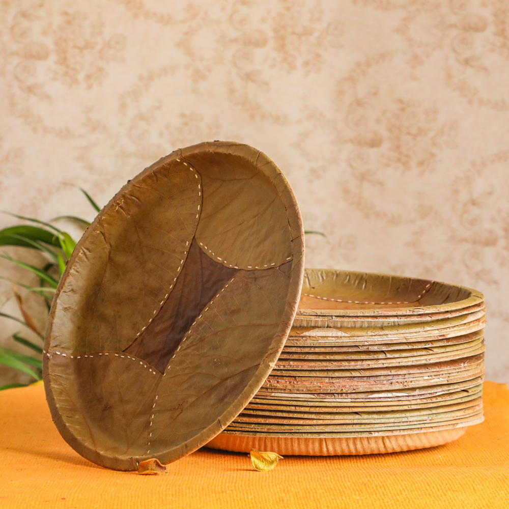 Disposable Plates for House party and Weddings in the USA
